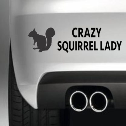 Crazy Squirrel Lady