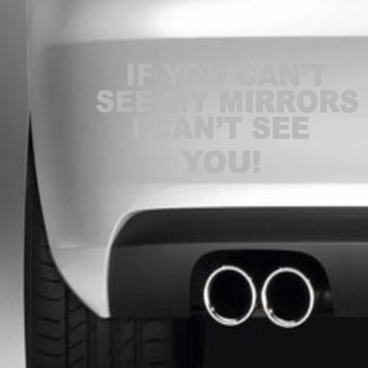 If You Can't See My Mirrors I Can't See You