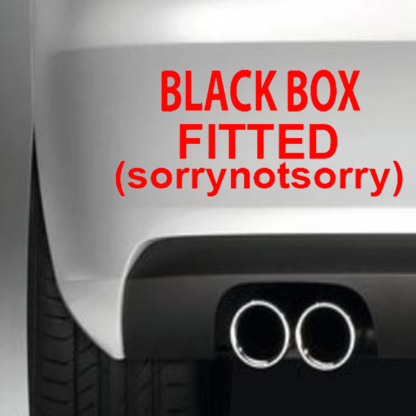 Black Box Fitted Sorry Not Sorry
