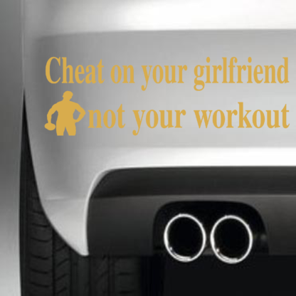 Cheat On Your Girlfriend Not Your Workout
