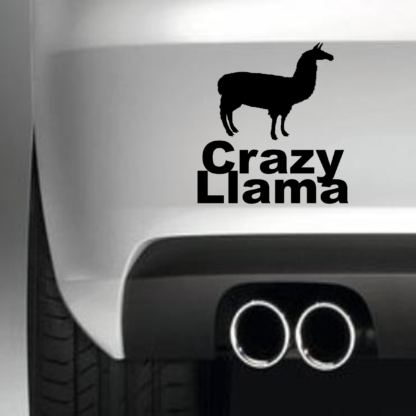 Crazy Llama