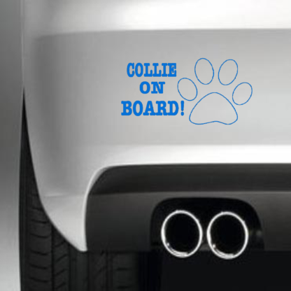 Collie On Board