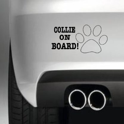 Collie On Board