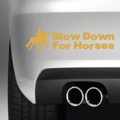 Slow Down For Horses (Fuzzy)