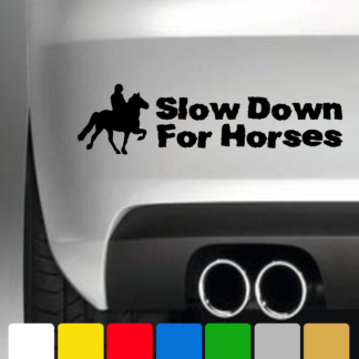 Slow Down For Horses