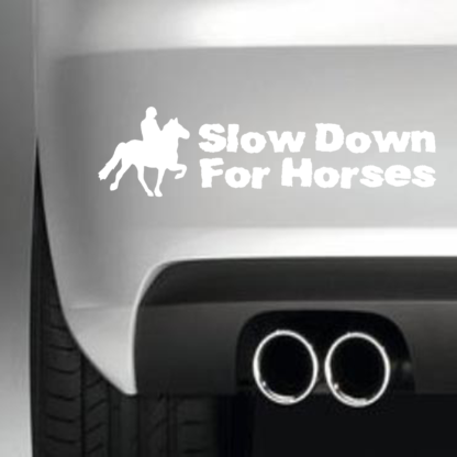 Slow Down For Horses (Fuzzy)