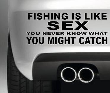 FISHING IS LIKE SEX FUNNY FISHING BAIT BOAT HOBBIES CAR WINDOW