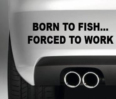 https://southcoaststickers.co.uk/wp-content/uploads/imported/South-Coast-Stickers-BORN-TO-FISH-FORCED-TO-WORK-STICKER-FISHING-BAIT-BOAT-ANGLER-HOBBIES-CAR-BUMPER-WINDOW-PAINTWORK-DE-B00L1DZN84.jpg